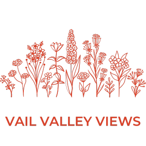 Best of Fest features Vail Valley Views.